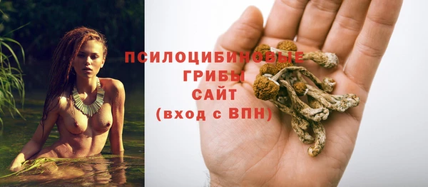 молекула духа Балабаново