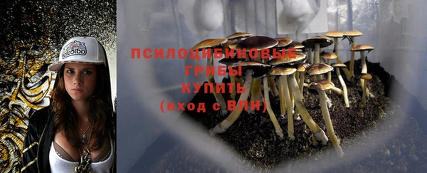 молекула духа Балабаново
