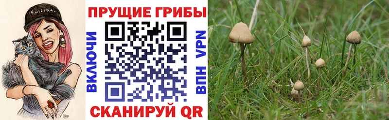 Галлюциногенные грибы ЛСД Спас-Деменск