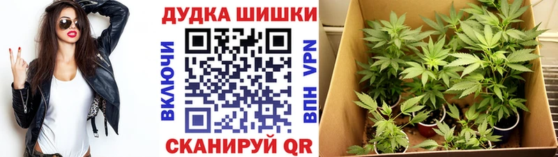 Конопля план Спас-Деменск